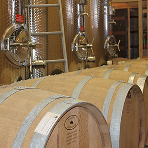 Wine barrels & stainless tanks
