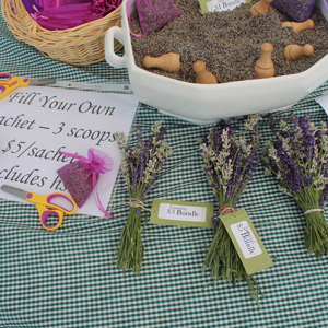 Lavender and buds at 2015 LavenderFest